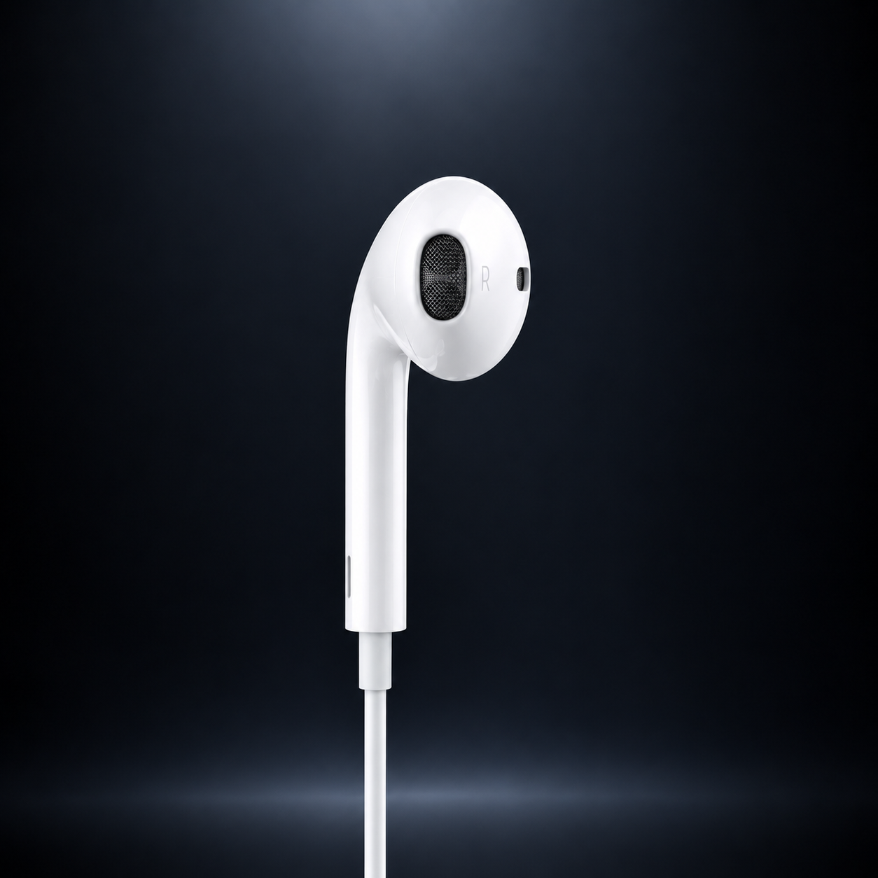 EarPods with USB-C Connector (White)